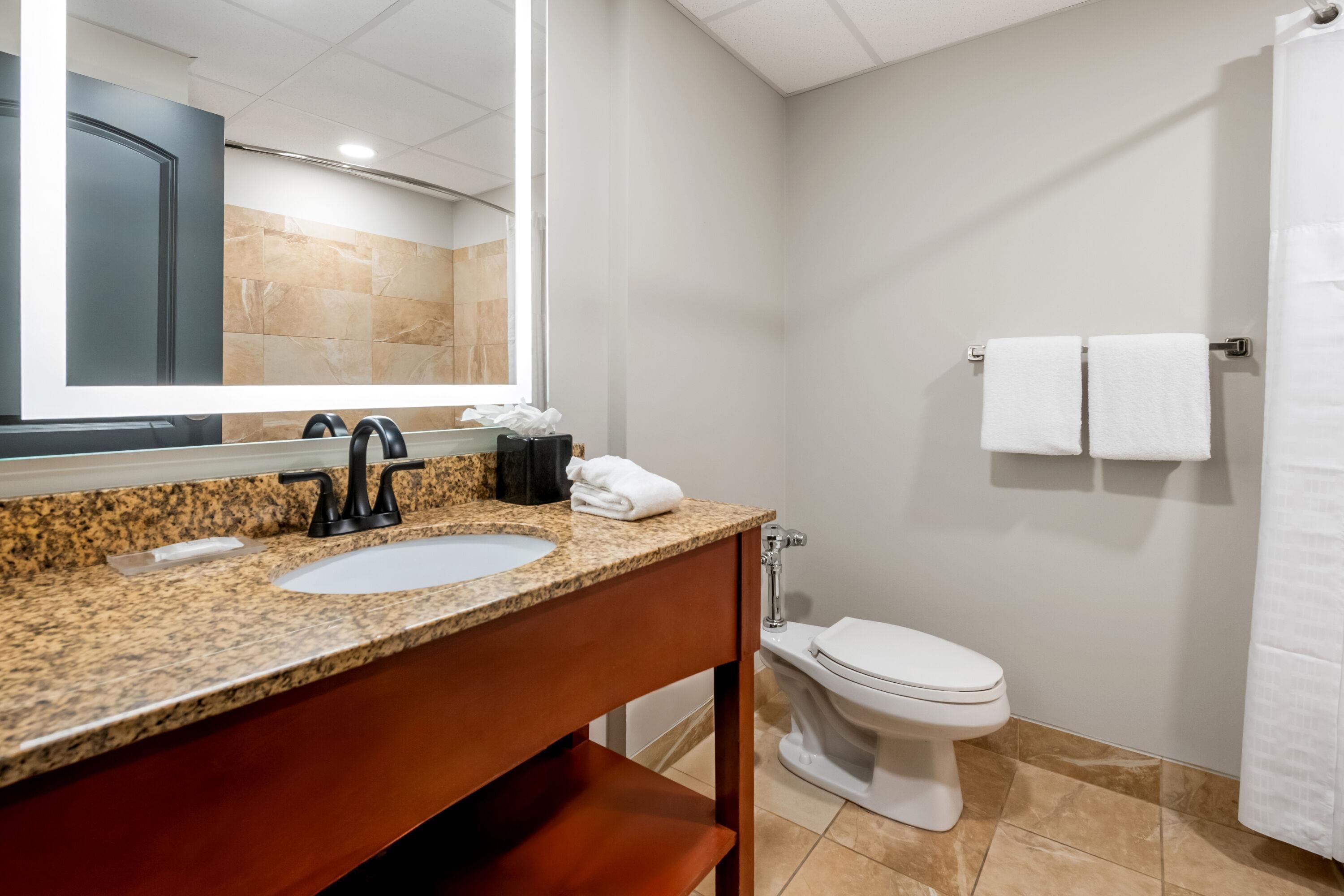 A bathroom with a granite countertop, a white sink, a mirror, a toilet, and a shower curtain.