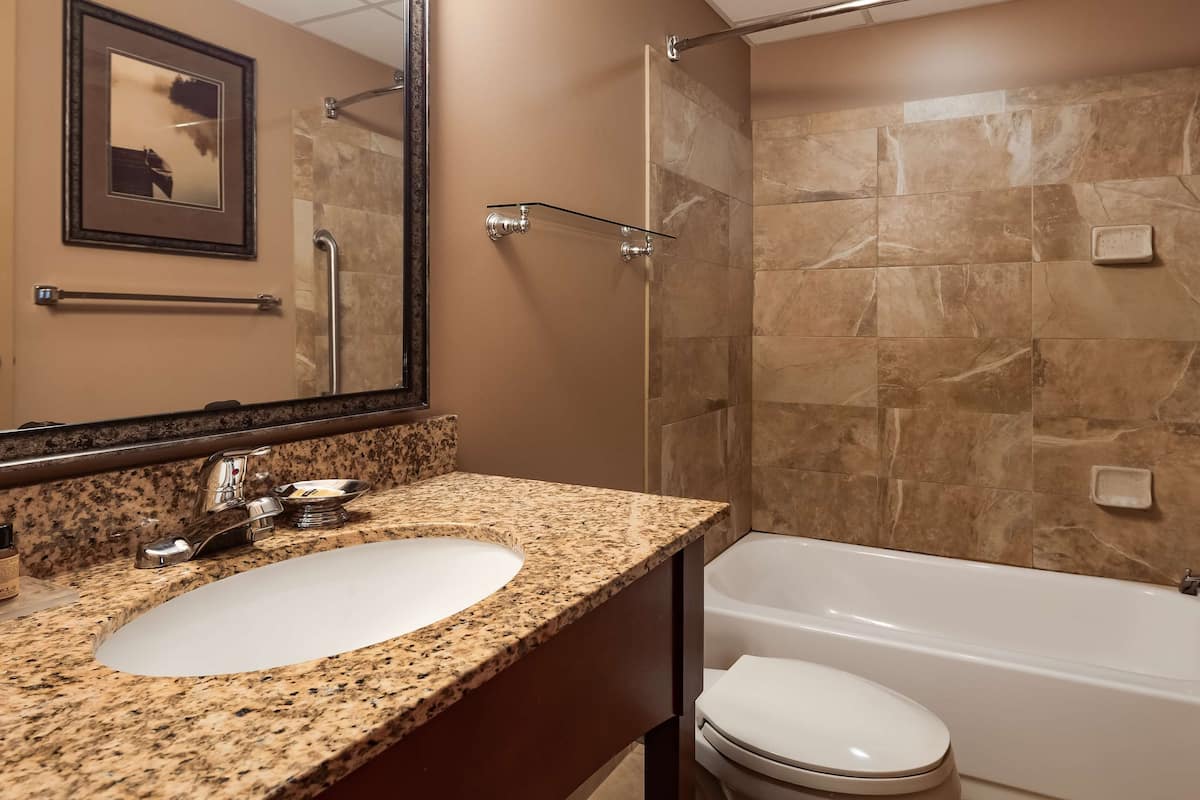 Combined shower/bathtub, eco-friendly toiletries, hair dryer, towels