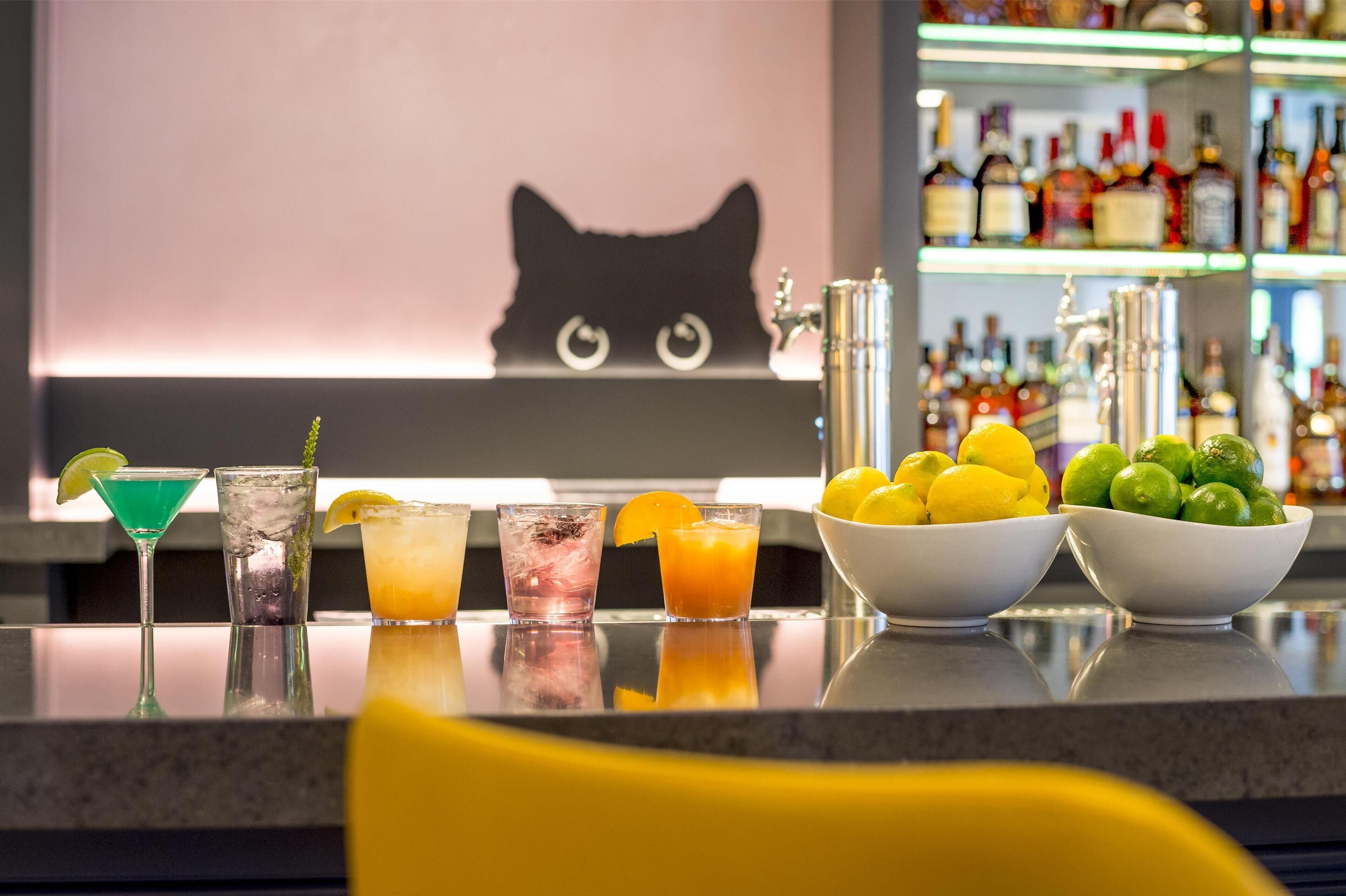 Foto - Warwick Denver