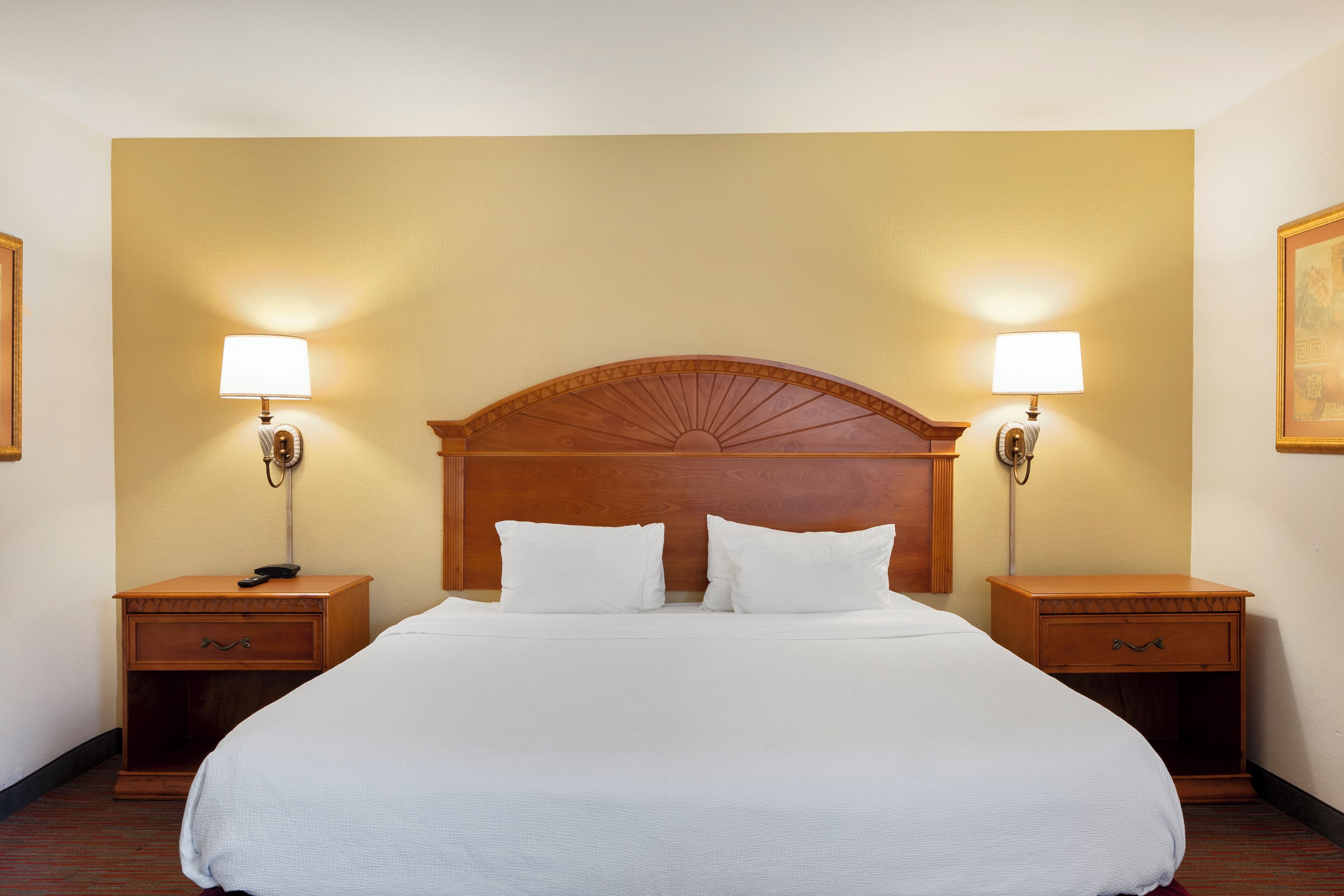 Foto - Orlando Palms