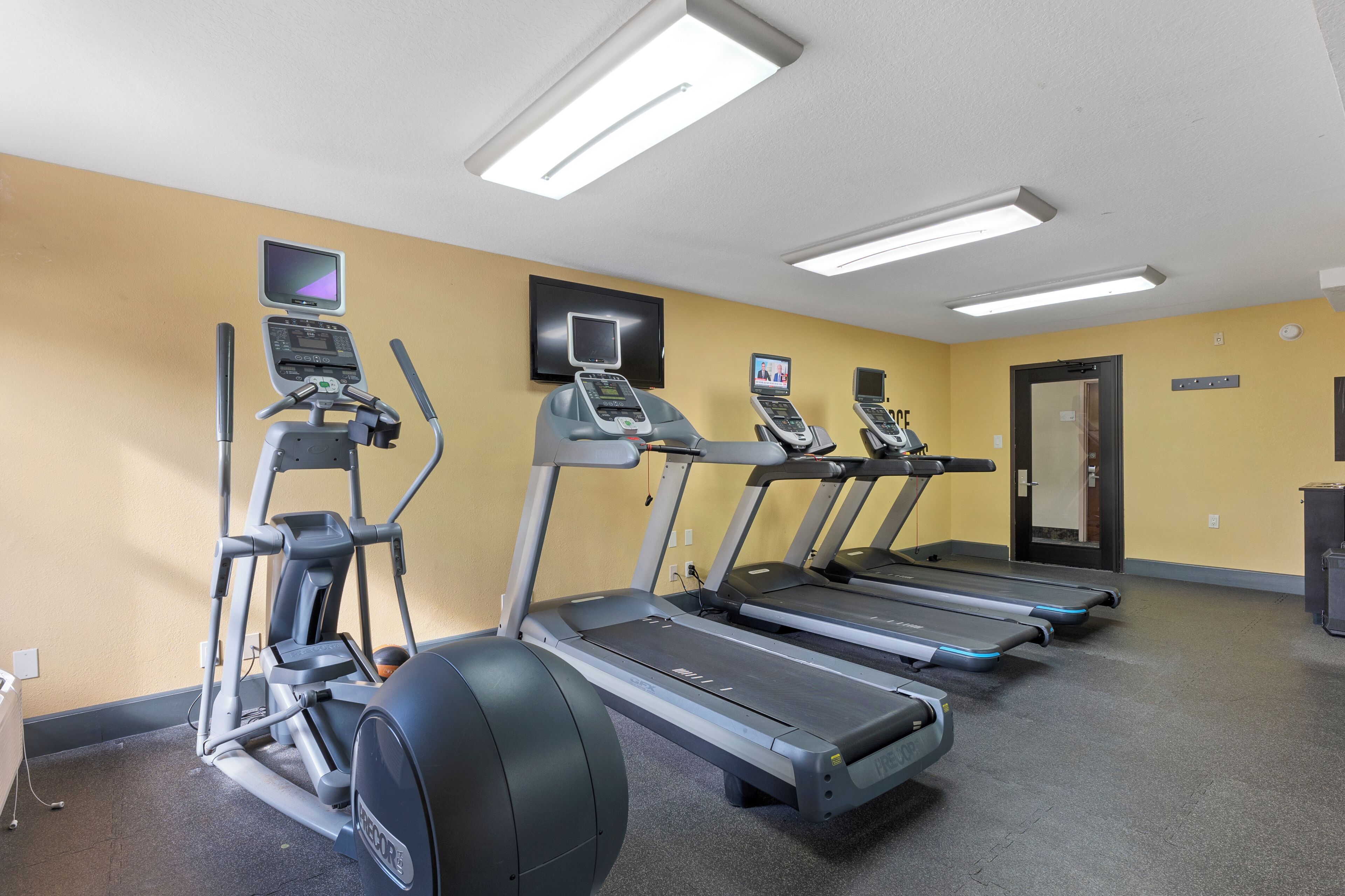 Foto - Orlando Palms