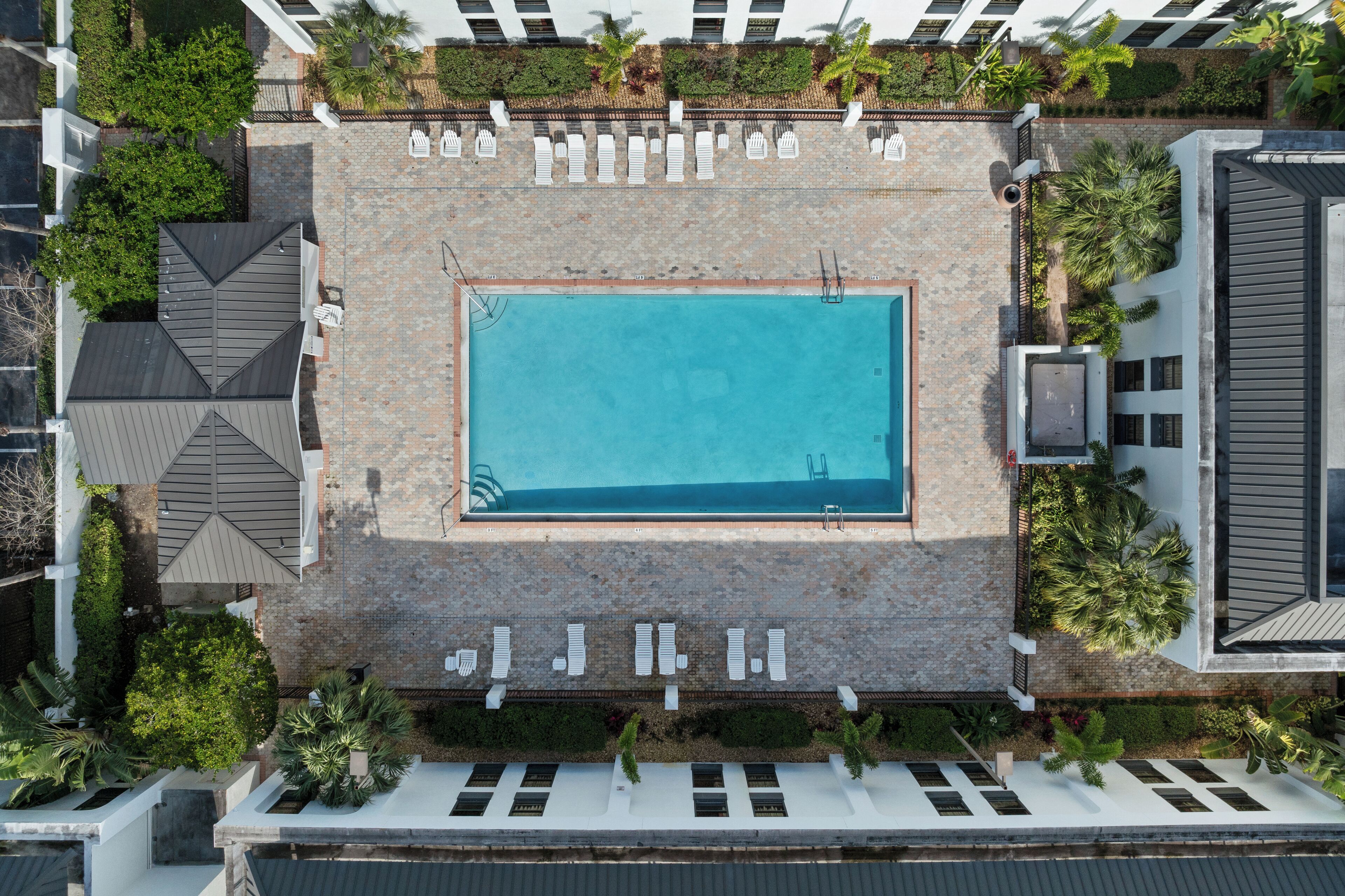 Foto - Orlando Palms