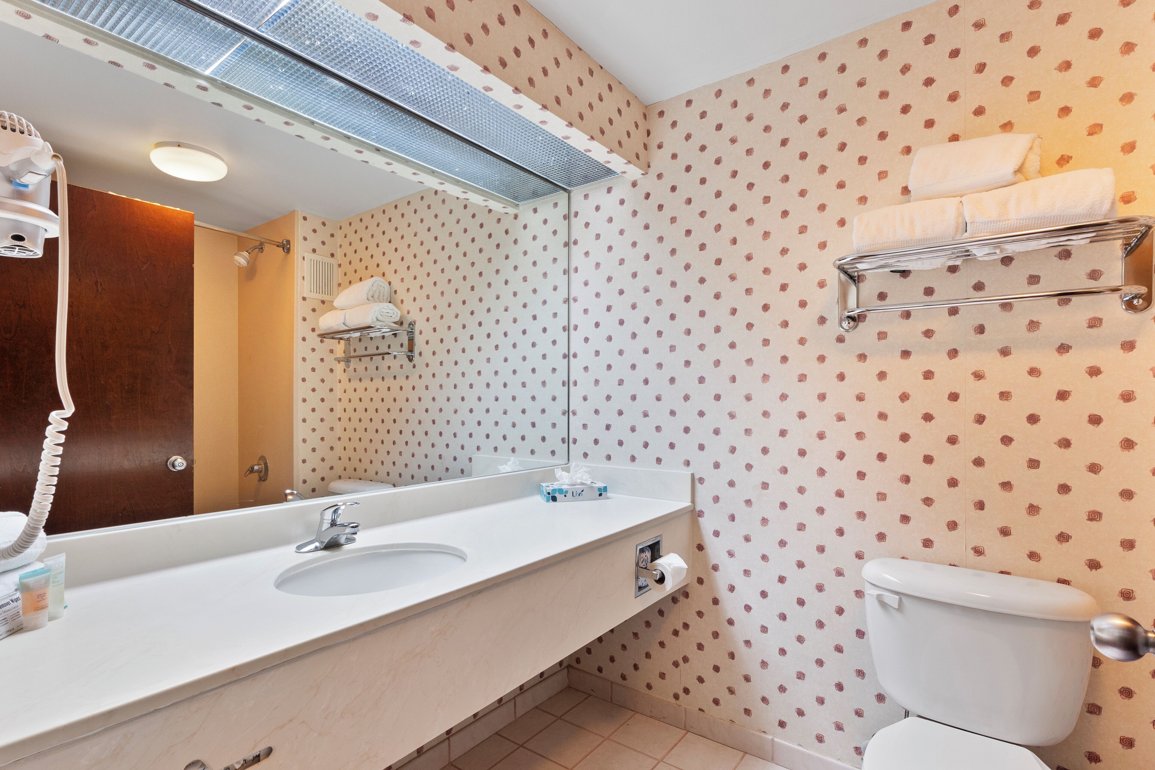 Foto - Orlando Palms