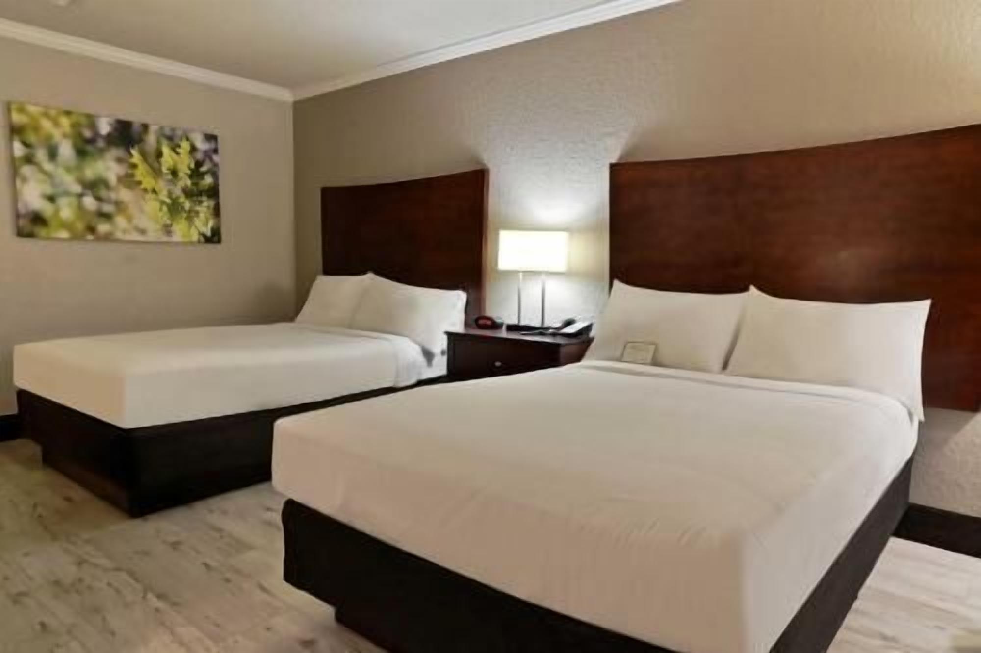 Hypo-allergenic bedding, in-room safe, desk, laptop workspace