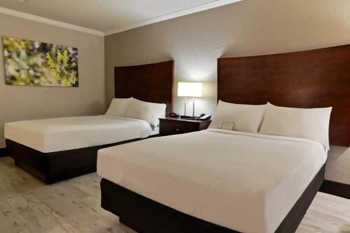 Hypo-allergenic bedding, in-room safe, desk, laptop workspace