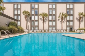 Outdoor pool, pool loungers