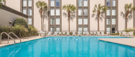 Outdoor pool, sun loungers
