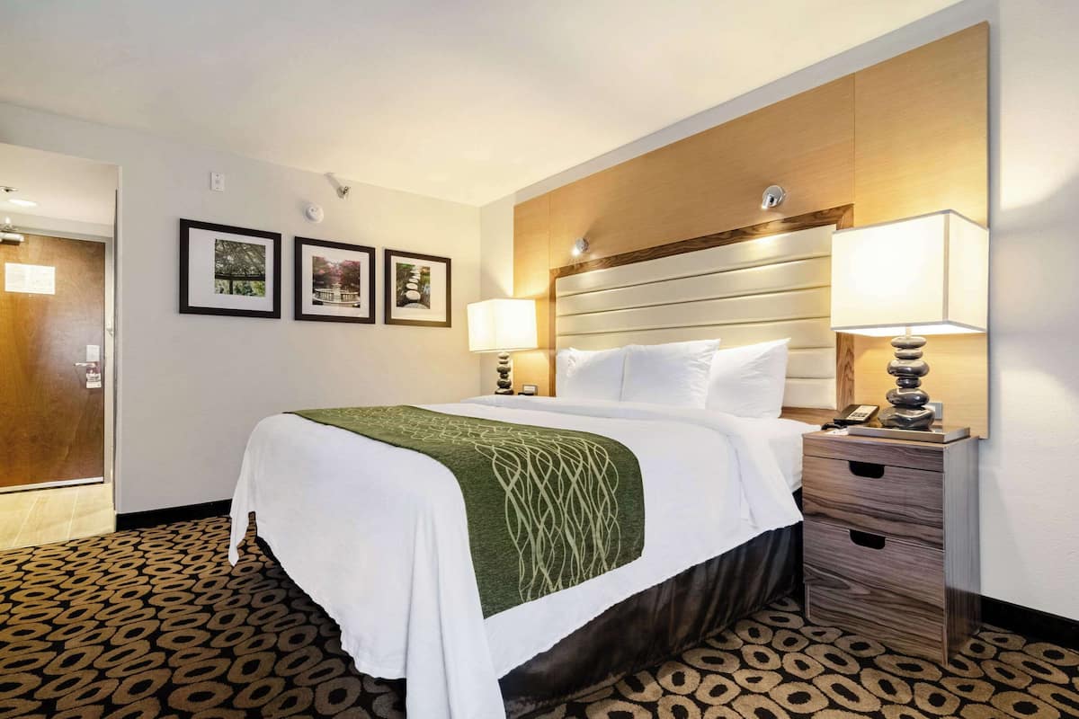 A hotel room with a large bed, a nightstand with a lamp, and three framed pictures on the wall.