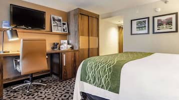 Premium bedding, desk, laptop workspace, blackout drapes