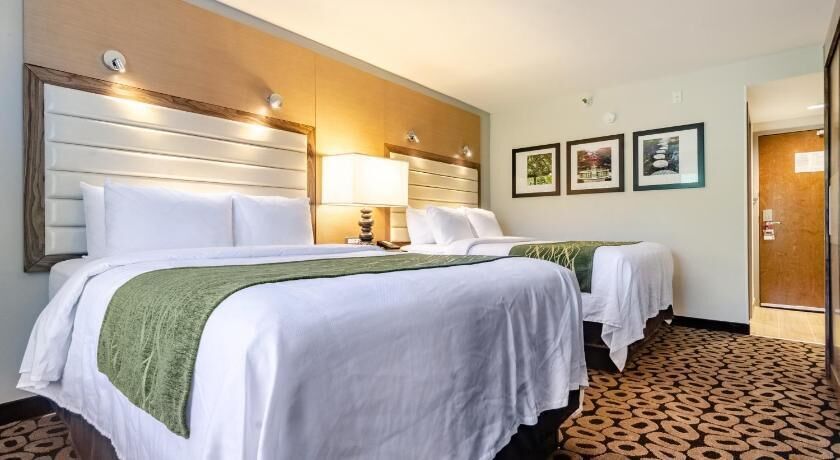 Premium bedding, desk, laptop workspace, blackout drapes