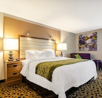 Habitación de hotel con una cama grande, dos mesitas de noche, una lámpara de pared, un cojín decorativo y un cuadro en la pared.