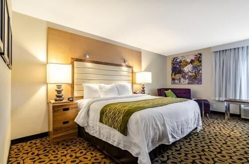 Premium bedding, desk, laptop workspace, blackout drapes