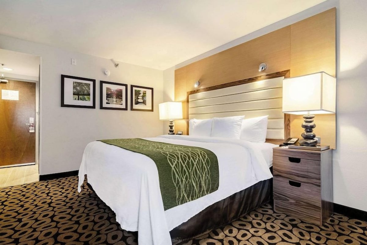 A hotel room with a bed, bedside lamps, a wooden headboard, and framed pictures on the wall.