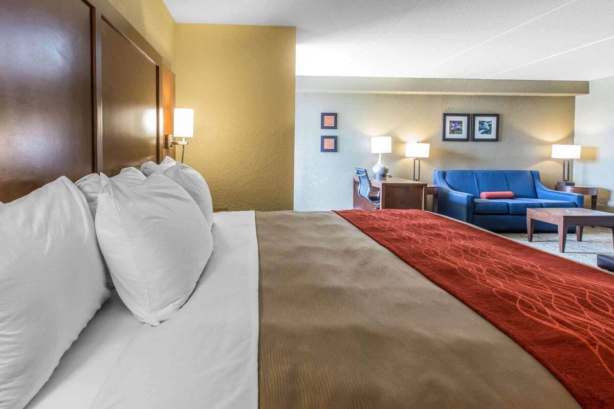 Una habitación de hotel con cama, sofá azul, una mesita y dos lámparas.