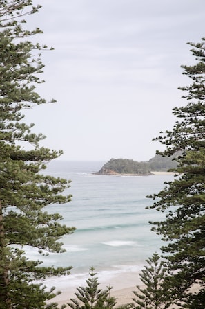 A coastal view with a beach and forested area. - Elysium Manly (Manly)