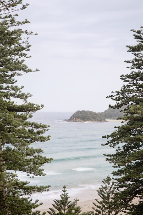 A coastal view with a beach and forested area.