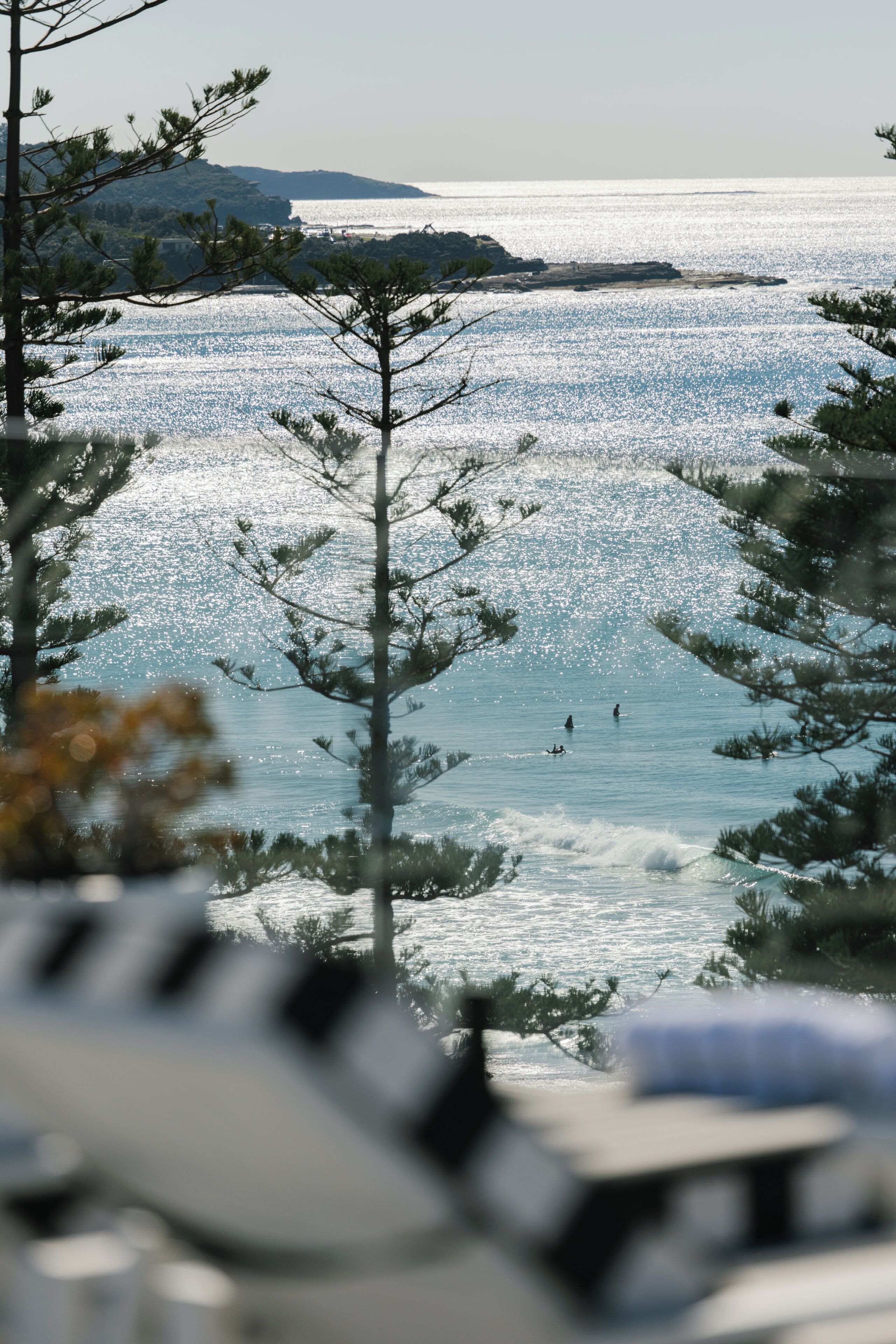 A coastal view with a clear sky, a tree in the foreground, and a beach in the background.