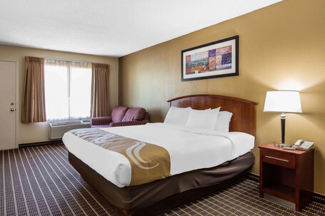 Quality Inn Suites Sevierville Pigeon Forge - Image 36