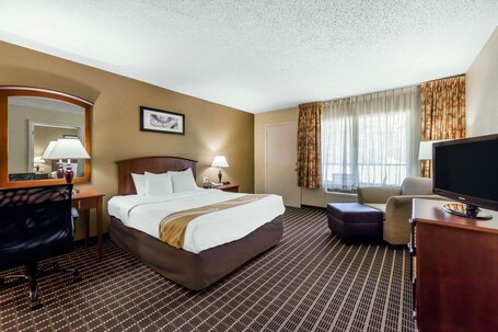 Quality Inn Suites Sevierville Pigeon Forge - Image 34