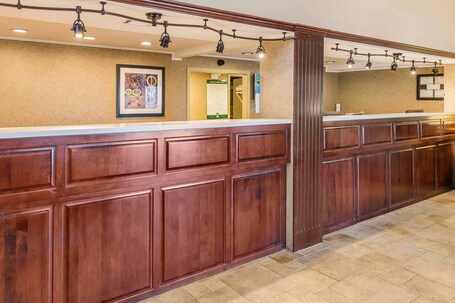 Quality Inn Suites Sevierville Pigeon Forge - Image 28