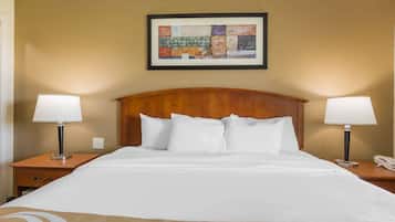 Una habitación de hotel con una cama grande, dos mesitas de noche con lámparas, un cabecero de madera y una obra enmarcada sobre la cama.