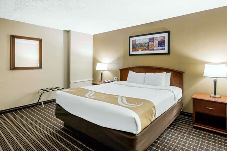 Quality Inn Suites Sevierville Pigeon Forge - Image 22