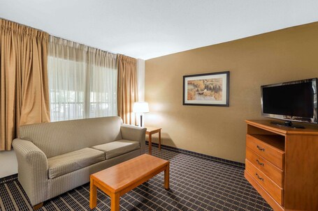 Quality Inn Suites Sevierville Pigeon Forge - Image 27