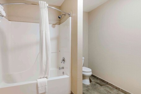 Quality Inn Suites Sevierville Pigeon Forge - Image 17