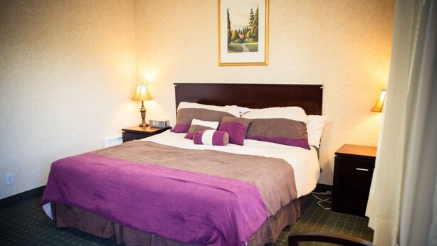 Habitación de hotel con una cama grande, dos mesitas de noche, una lámpara y un cuadro en la pared.