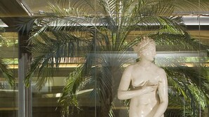 A statue of a classical figure in a glass enclosure with tropical plants and a patterned bench. - Dei Borgognoni Hotel (Rome)