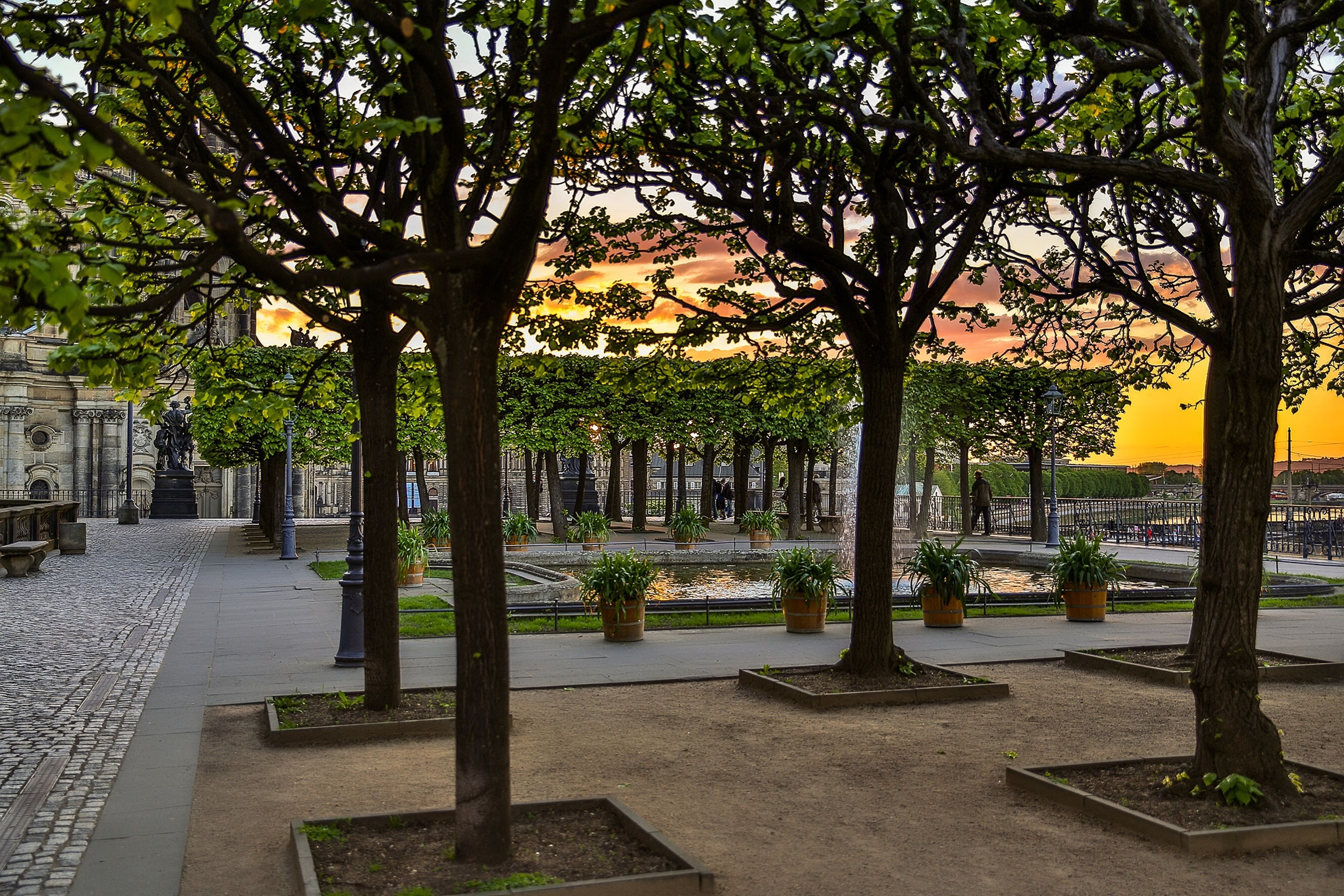 A park with trees, a paved walkway, and a body of water.