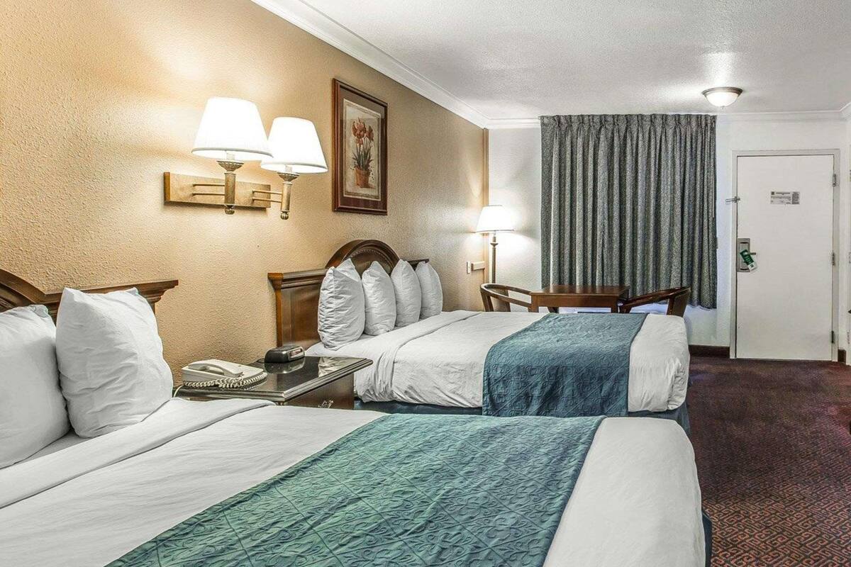 Premium bedding, in-room safe, laptop workspace, blackout drapes