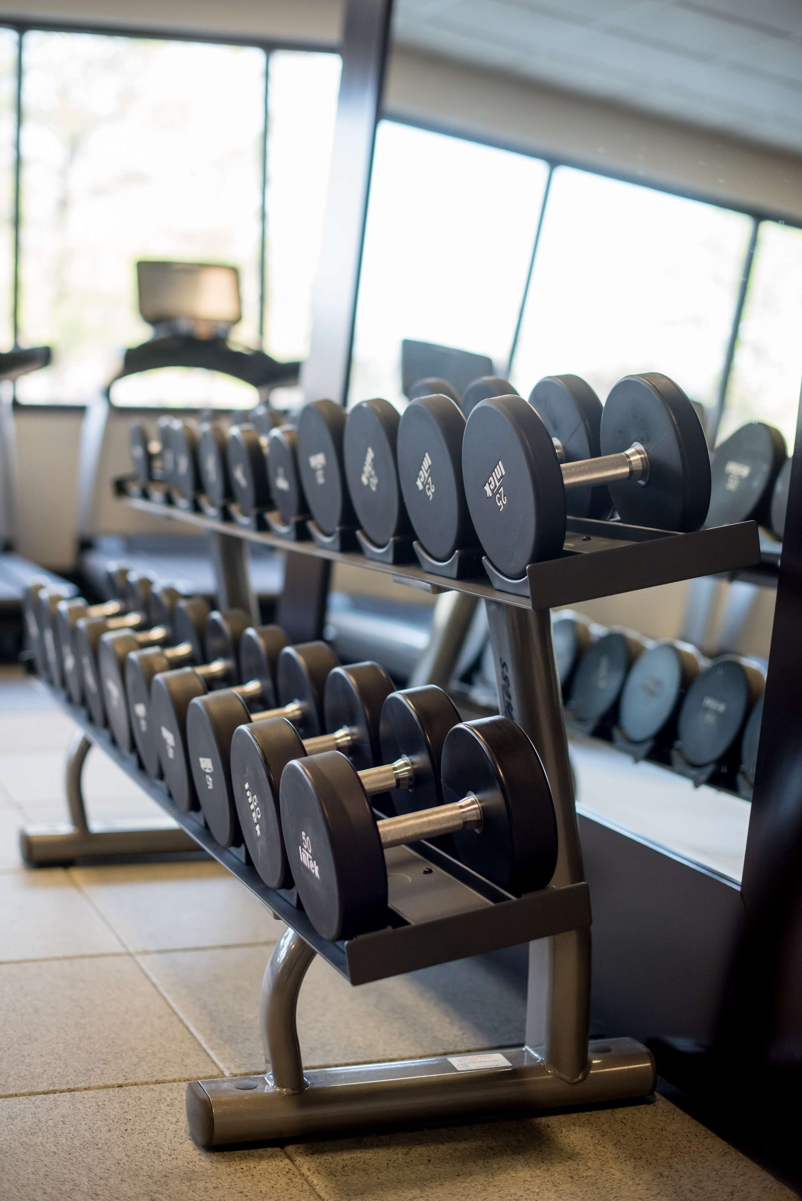 A gym with rows of dumbbells on racks.