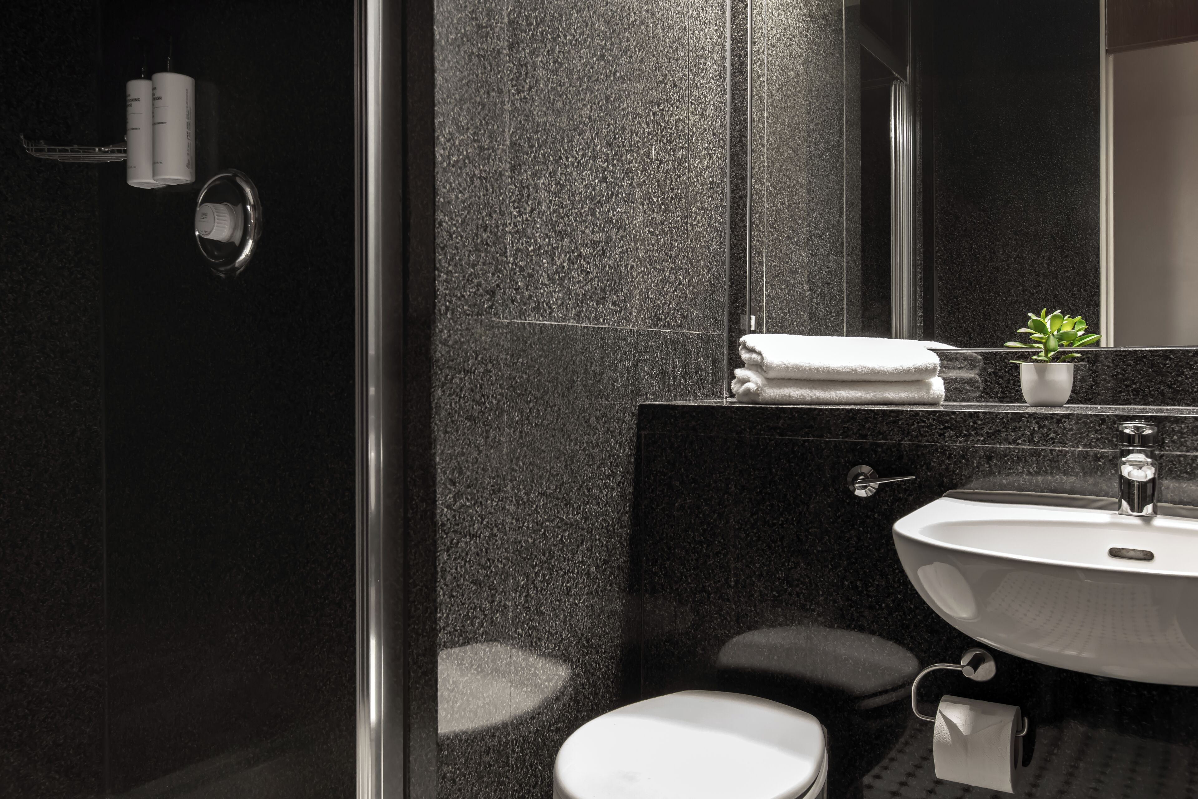 Un baño moderno con cabina de ducha de vidrio, un lavabo blanco y una pequeña planta en maceta.