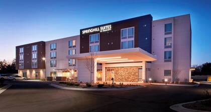 SpringHill Suites by Marriott East Lansing University Area