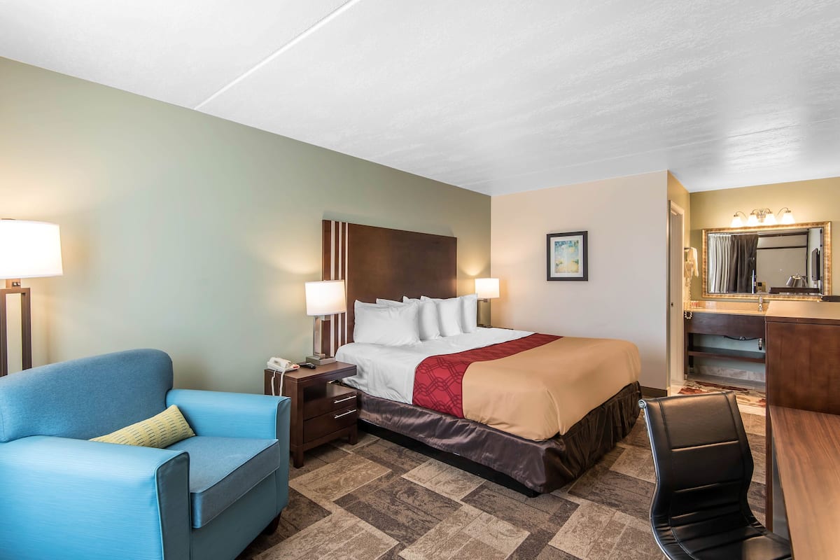Una habitación de hotel con una cama, un escritorio, una silla, una mesita de noche y una lámpara.