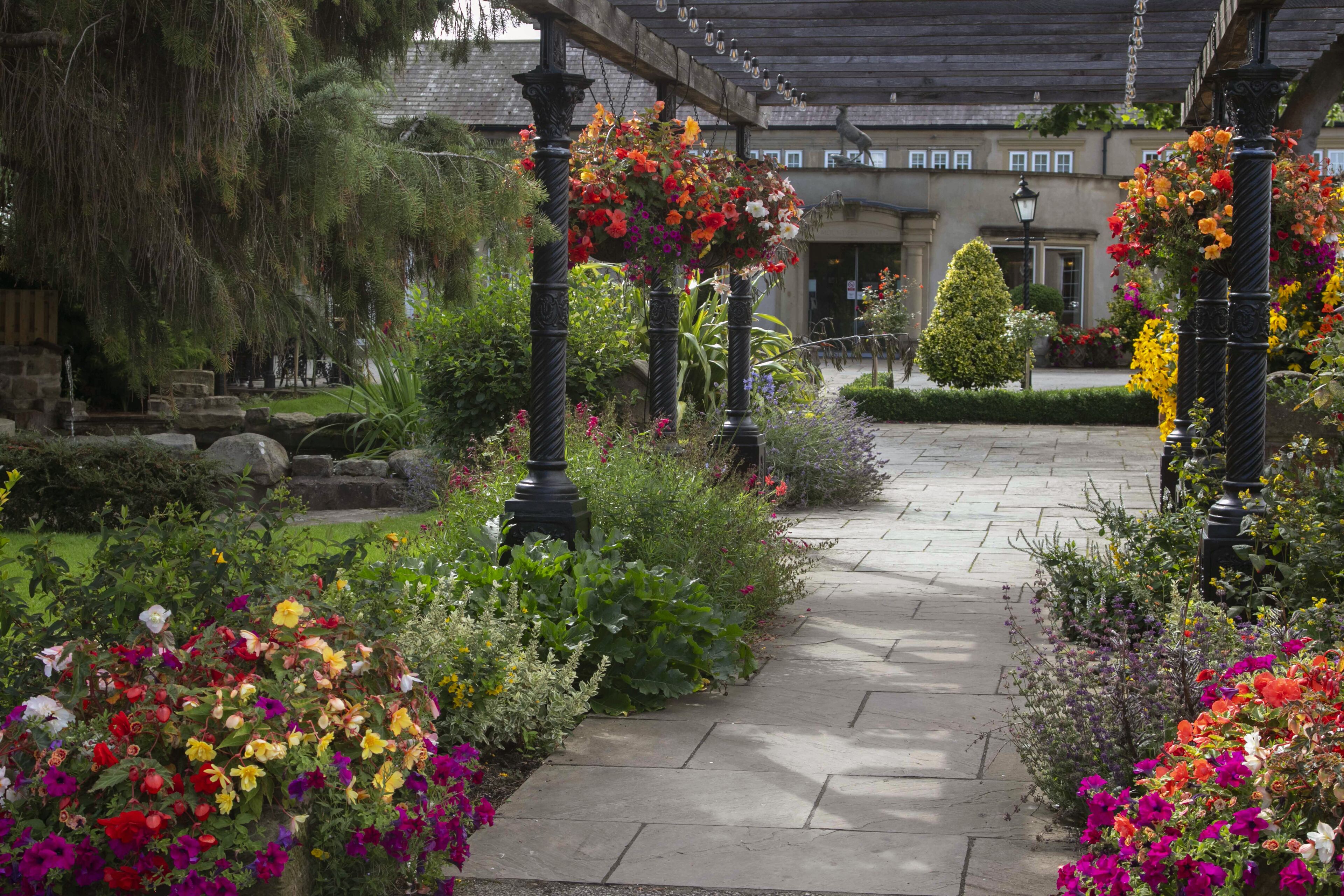 Suite - 1 kingsize-seng - ikke-ryger - sauna | Haveudsigt