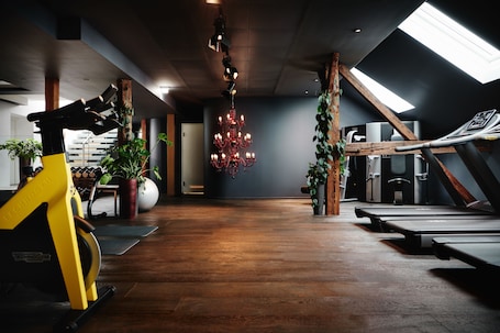 Fitness facility. Hotel Weitzer Graz