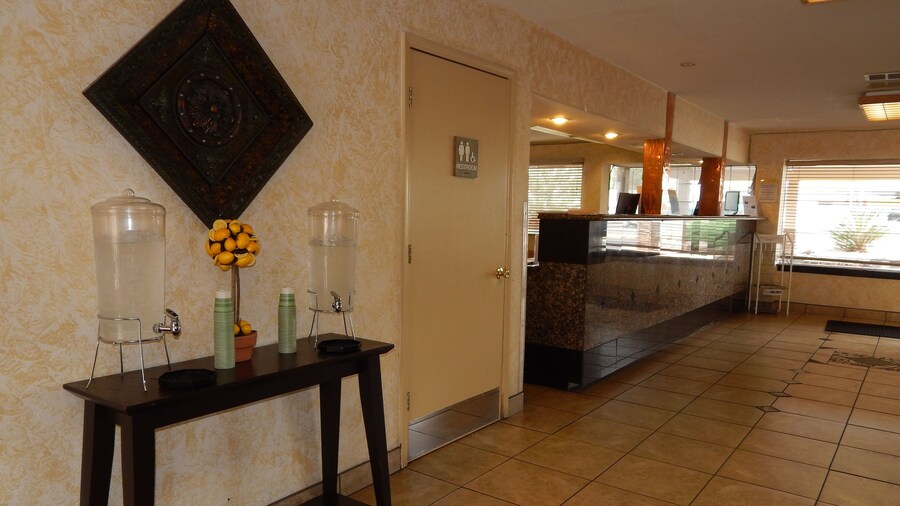 Tree Inn & Suites Albuquerque.