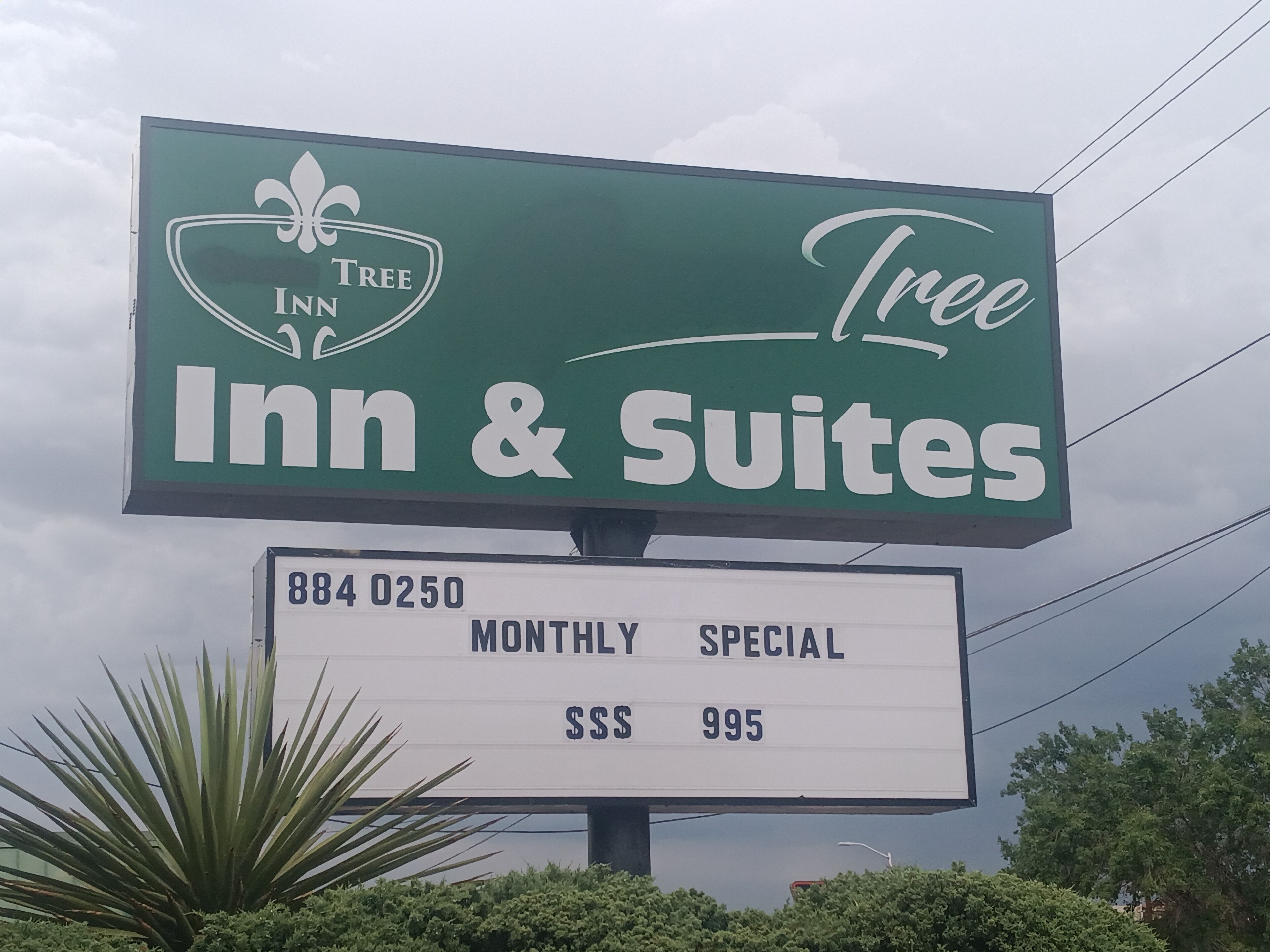 Tree inn & Suites Albuquerque — photo 10