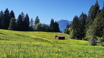 A grassy field with a small wooden cabin and a mountain in the background.