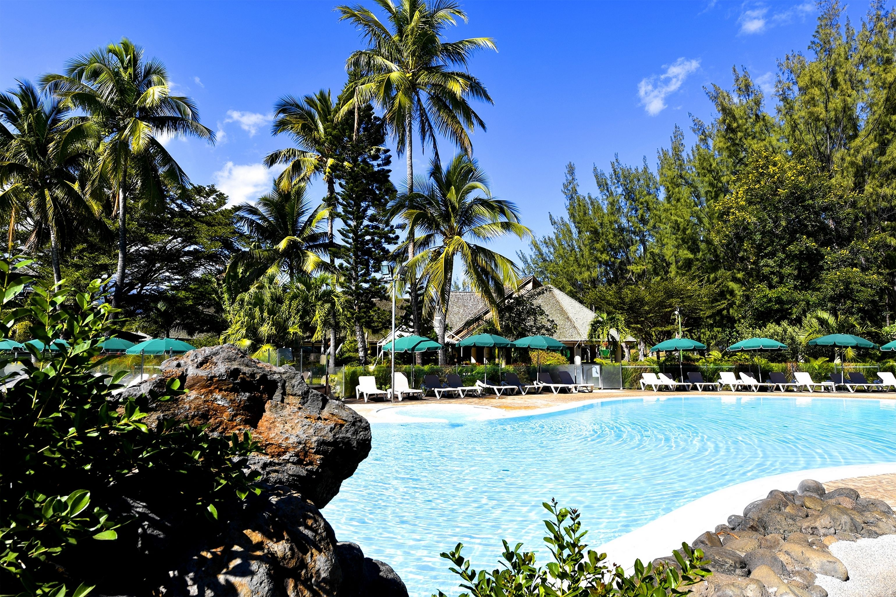 A poolside area with lounge chairs and umbrellas, surrounded by palm trees and a clear blue sky.