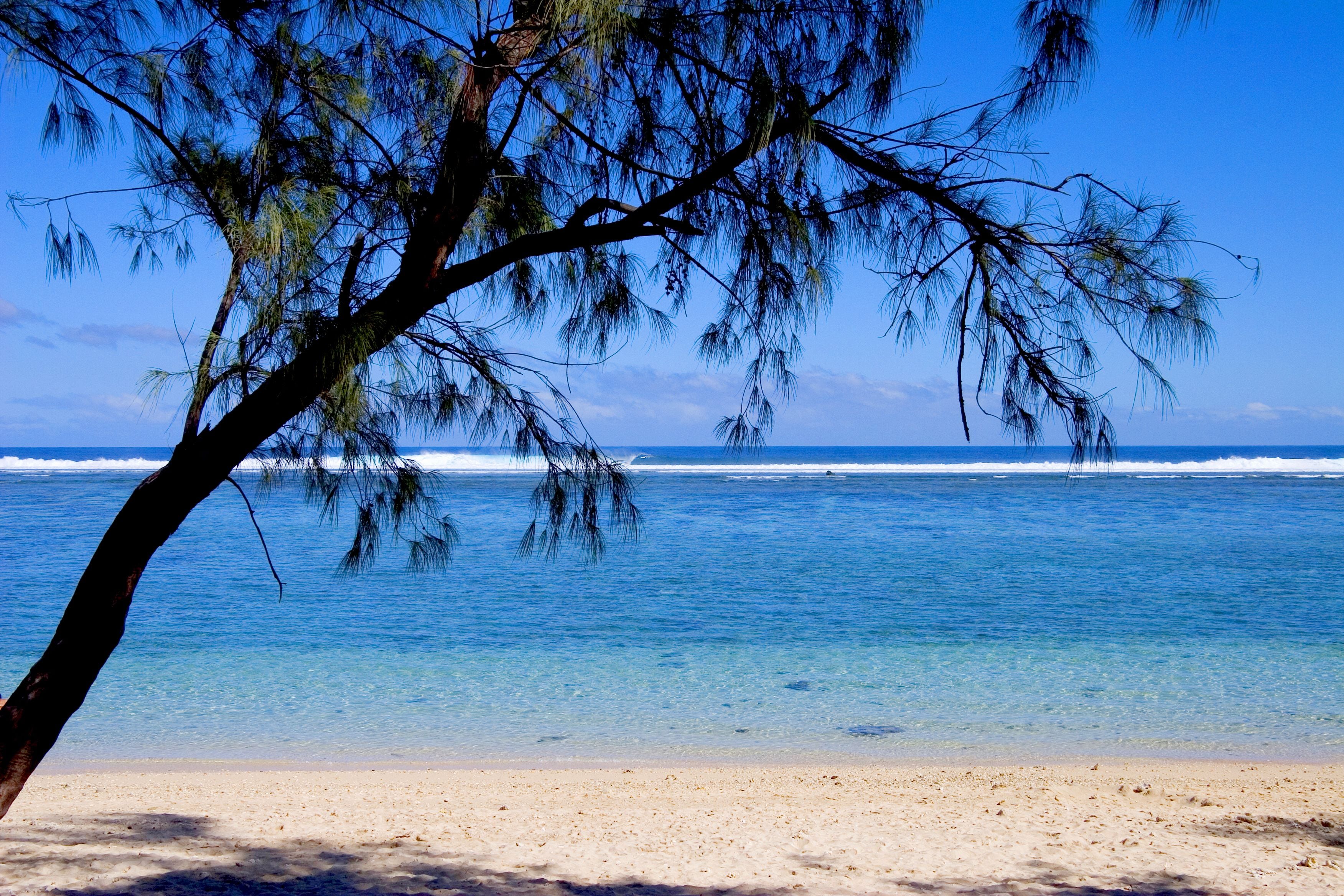 Beach towels, beach volleyball