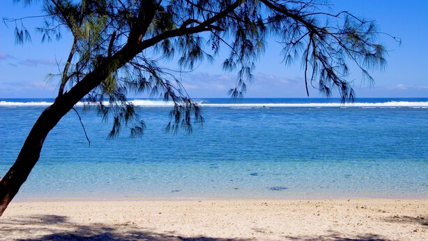 A beach with clear blue water and a tree in the foreground. - Le Relais de L'Hermitage (Saint-Paul)