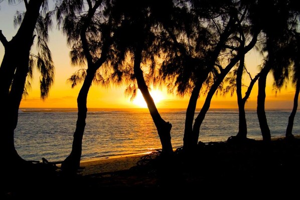 A beach scene with trees silhouetted against a sunset. - Le Relais de L'Hermitage (Saint-Paul)