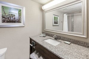 Un baño con lavamanos de encimera de granito, un espejo grande y un cuadro en la pared.