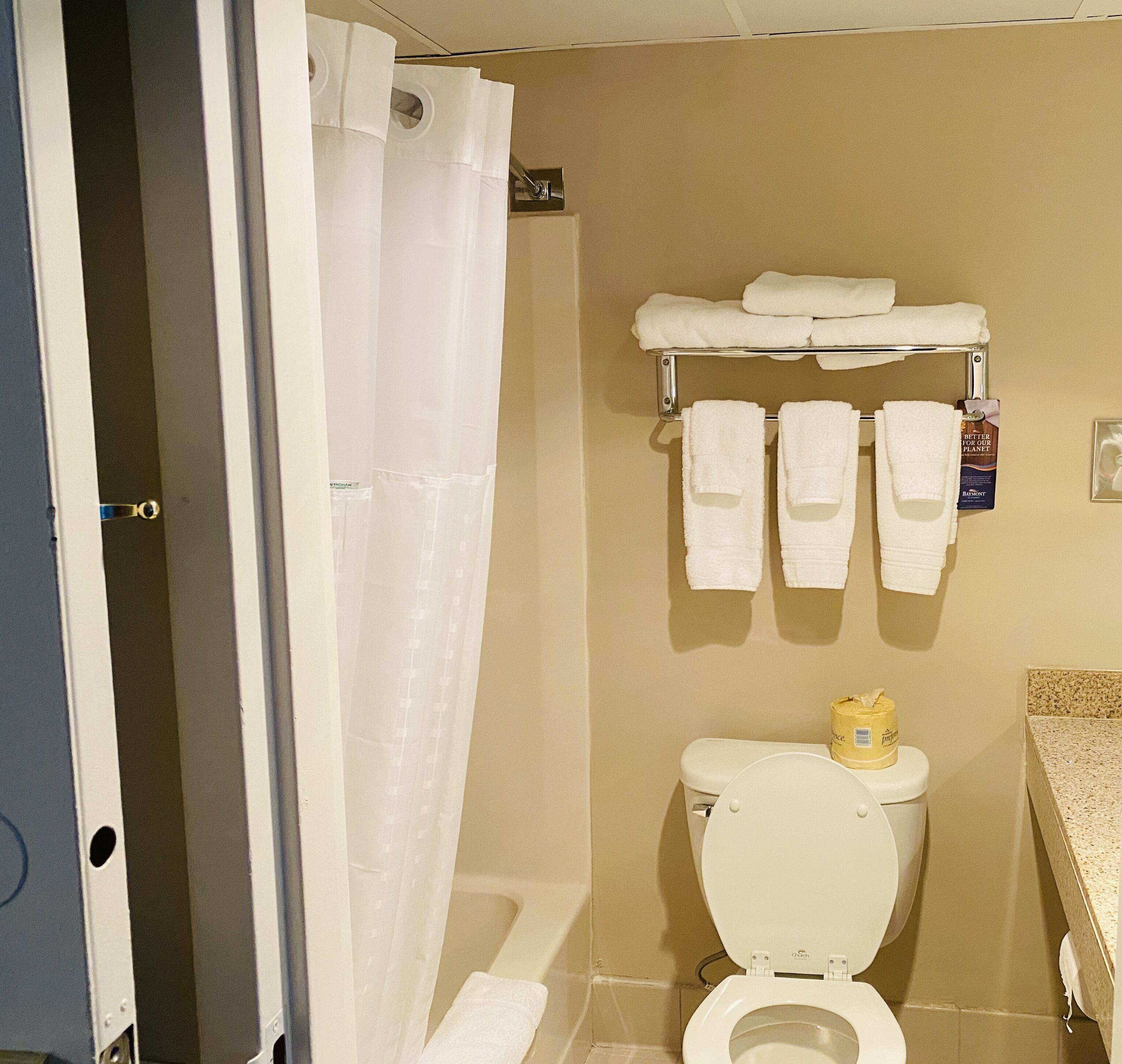 combined shower/bathtub, free toiletries, hair dryer, towels