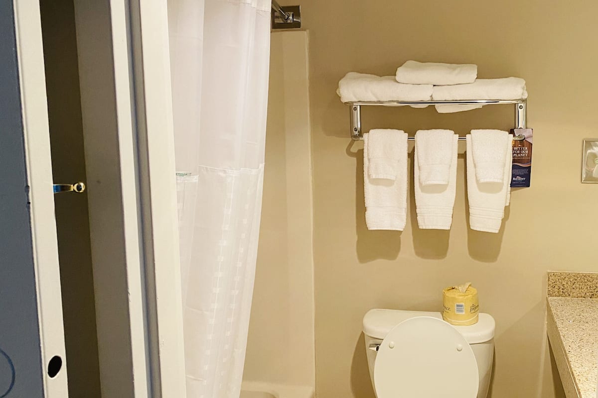 combined shower/bathtub, free toiletries, hair dryer, towels