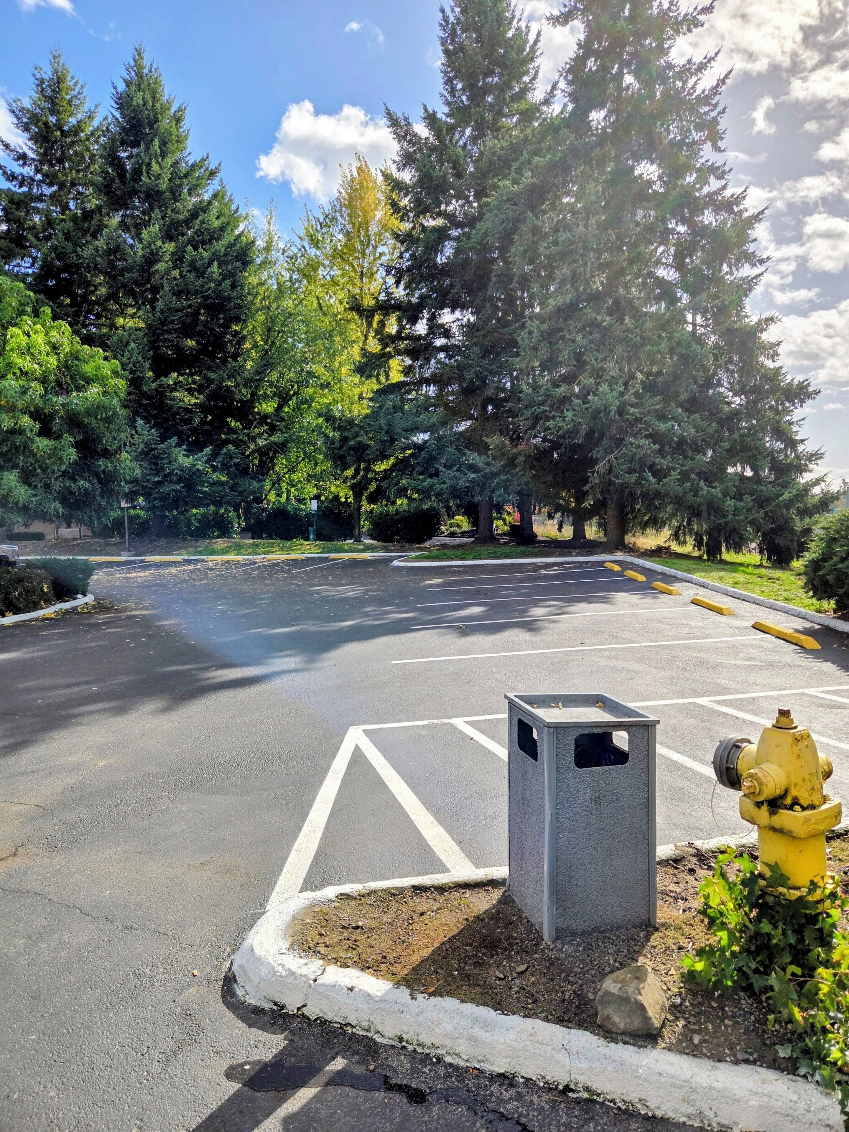 A parking lot with marked spaces, a yellow fire hydrant, and trees in the background.