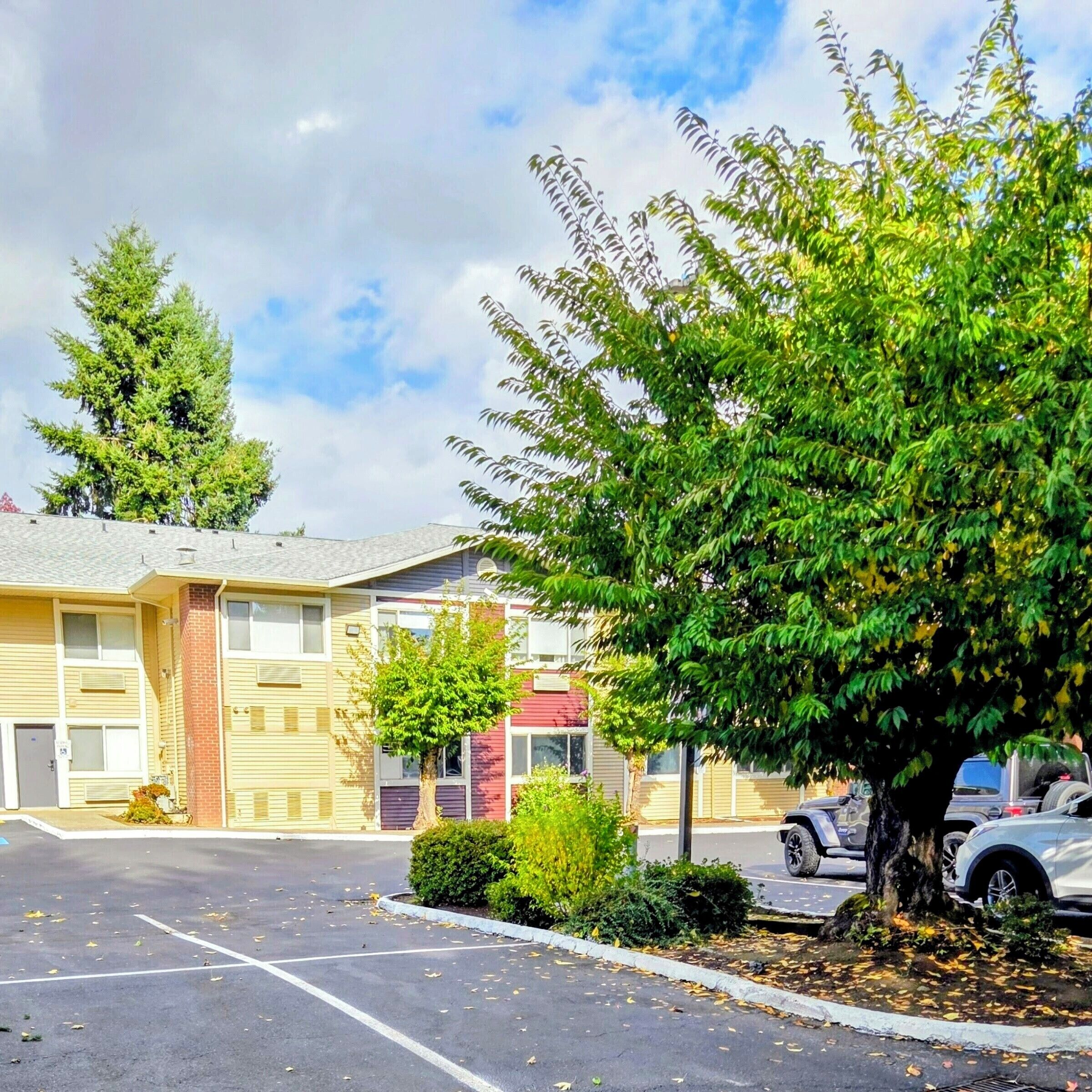 A parking lot with a building that has multiple floors and a tree in the foreground.